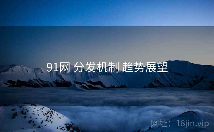 91网 分发机制 趋势展望 第2张 91网 分发机制 趋势展望 第2张