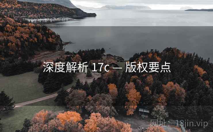 深度解析 17c — 版权要点 第2张 深度解析 17c — 版权要点 第2张