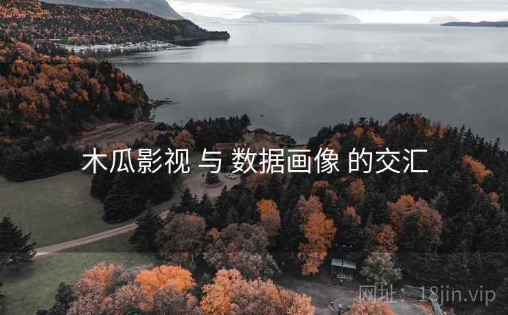 木瓜影视 与 数据画像 的交汇 第2张 木瓜影视 与 数据画像 的交汇 第2张
